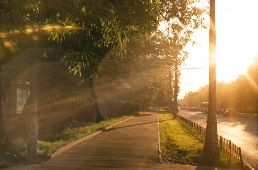 Duas pessoas a caminhar calmamente num parque com árvores